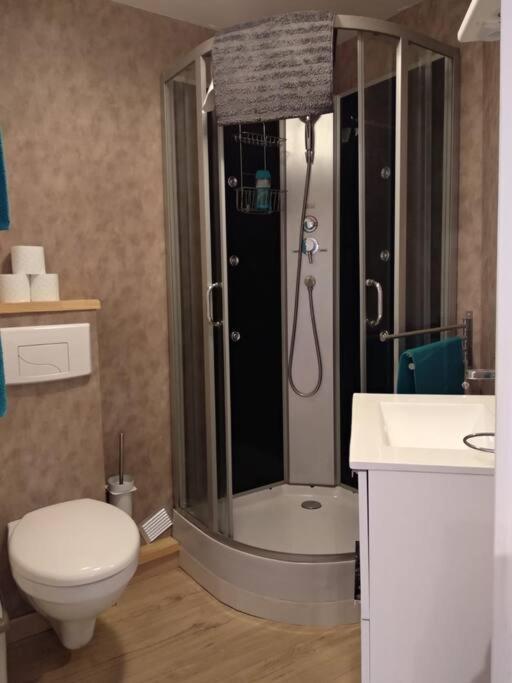 Appartement Centre Ville Rose Toulouse Eksteriør billede