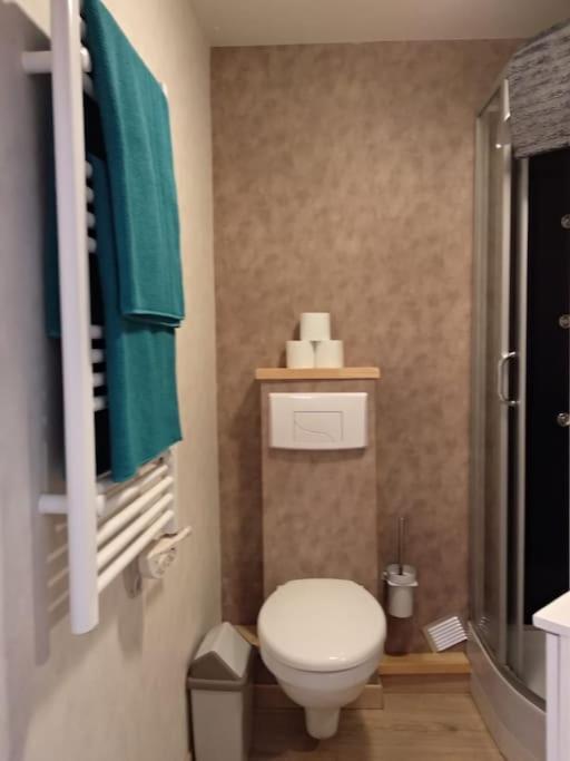 Appartement Centre Ville Rose Toulouse Eksteriør billede